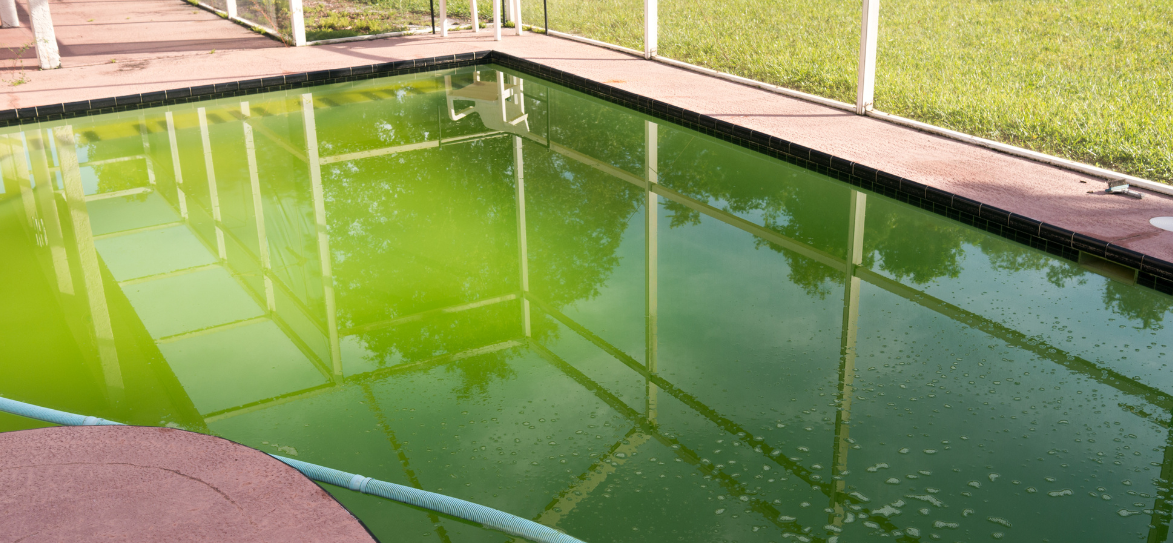 Pool Recovery